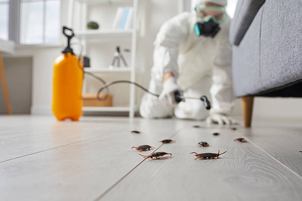 Trusted Fumigation Services service in City View, SC - Nex Pest Control