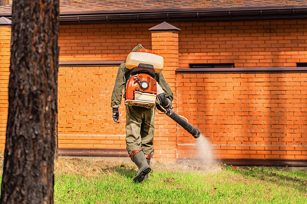 Trusted Termite Control service in City View, SC - Nex Pest Control
